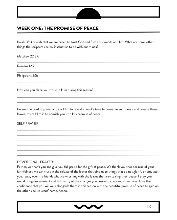 The Pursuit of Presence: Navigating through seasons of life by pursuing presence in our promises